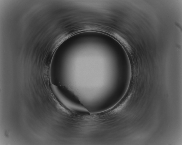 X0000093761001200710161219