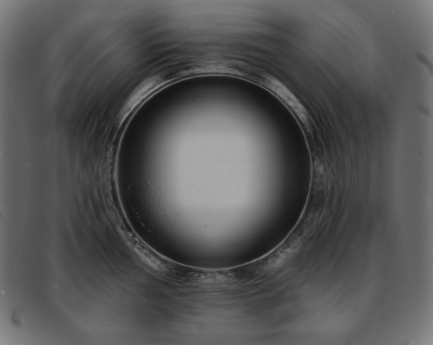 X0000093761002200710161219