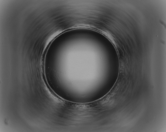 X0000093761003200710161219