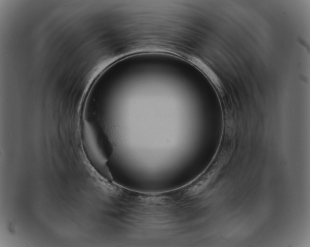 X0000093761004200710161219