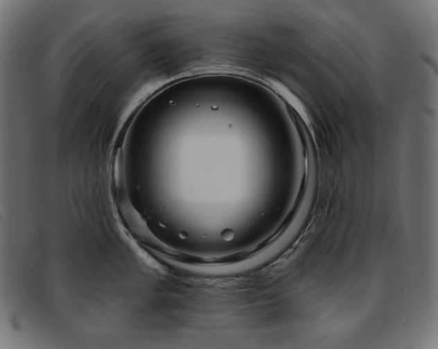 X0000093761005200710161219