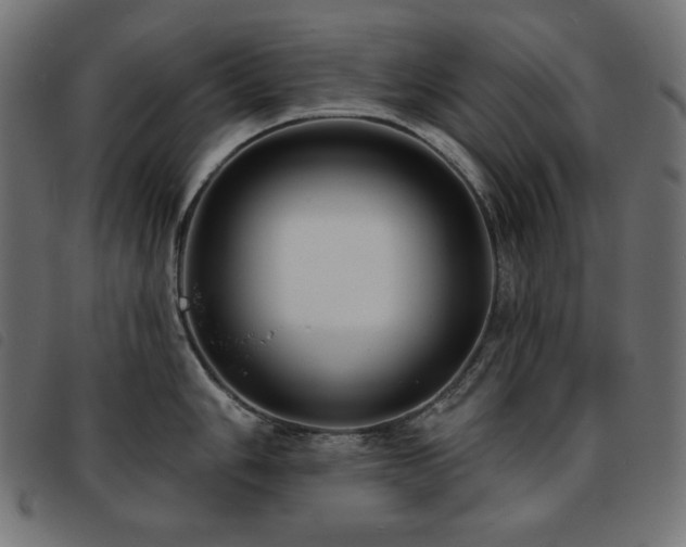 X0000093761006200710161219