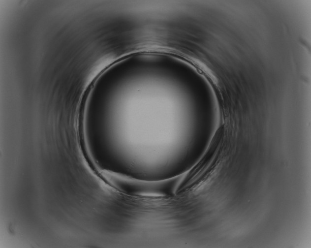 X0000093761007200710161219