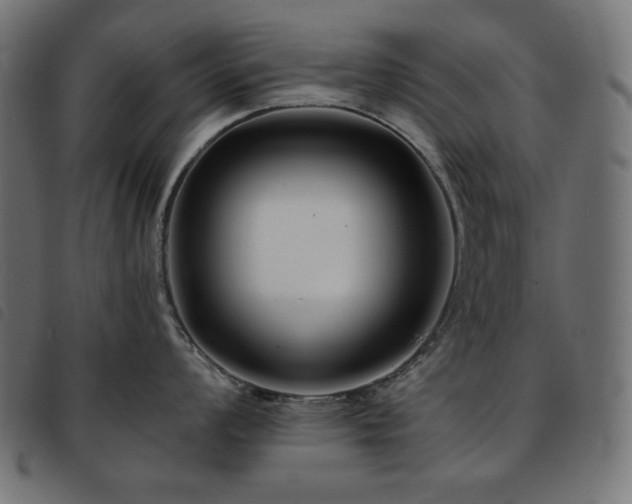 X0000093761008200710161219