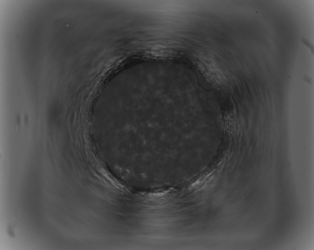 X0000093761009200710161219