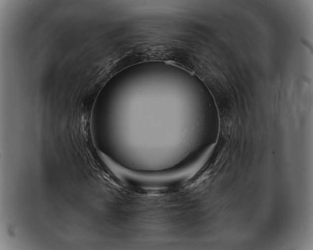 X0000093761010200710161219