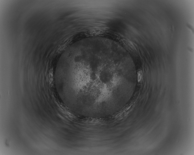 X0000093761011200710161219