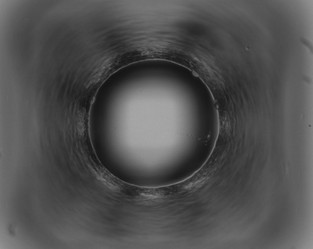 X0000093761012200710161219