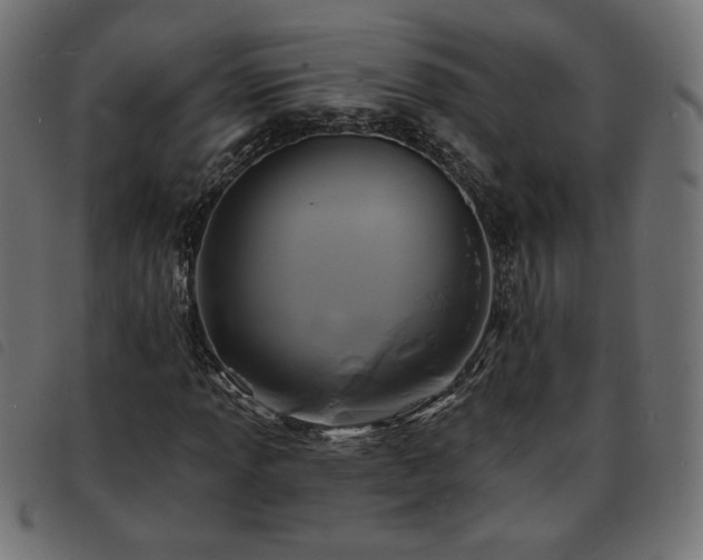 X0000093761013200710161219