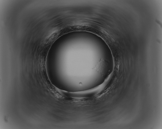 X0000093761014200710161219