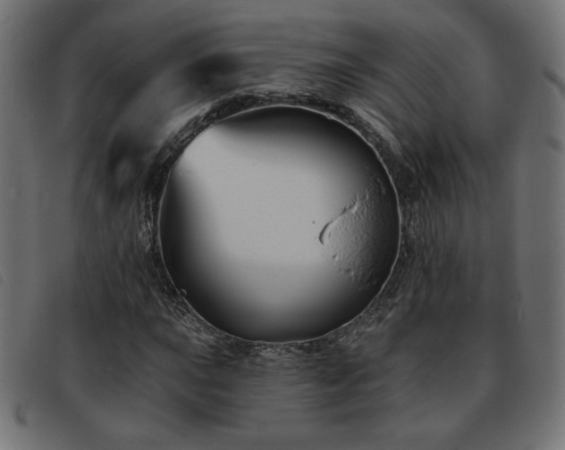 X0000093761015200710161219
