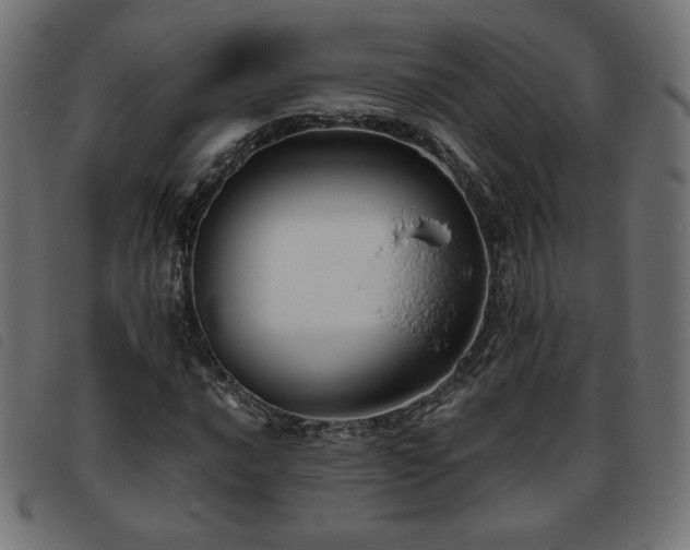 X0000093761016200710161219