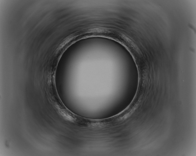 X0000093761017200710161219