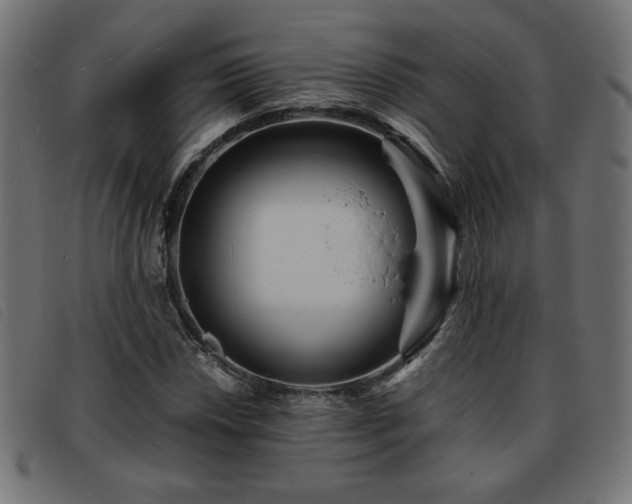 X0000093761018200710161219