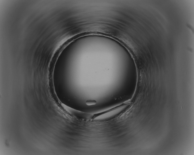 X0000093761020200710161219