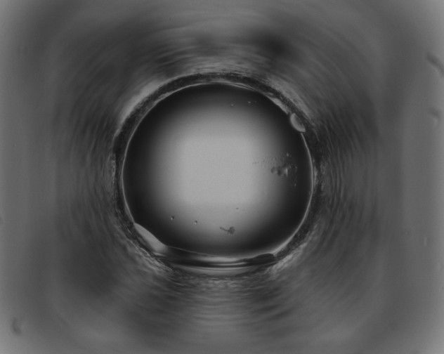 X0000093761021200710161219