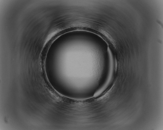 X0000093761022200710161219