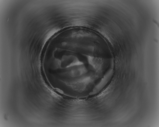 X0000093761024200710161219