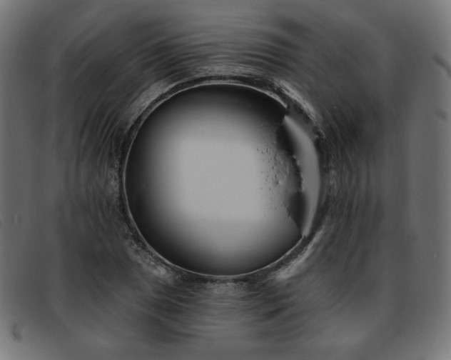 X0000093761025200710161219
