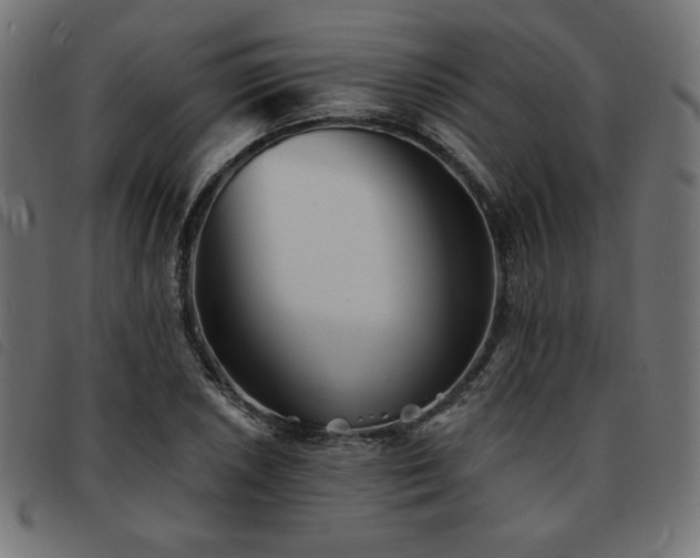 X0000093761026200710161219
