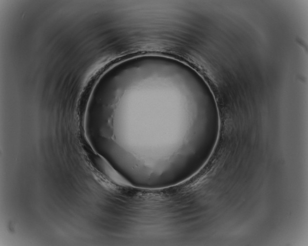 X0000093761027200710161219