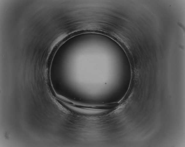 X0000093761029200710161219