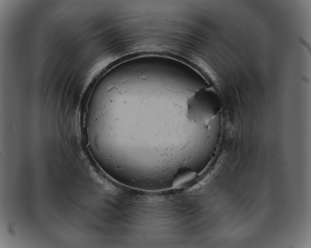 X0000093761030200710161219