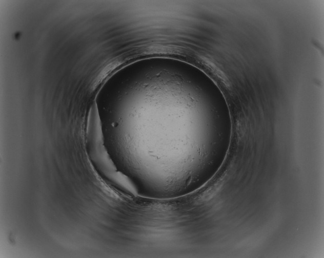X0000093761033200710161219