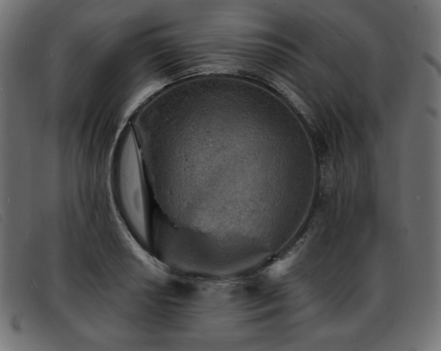 X0000093761034200710161219