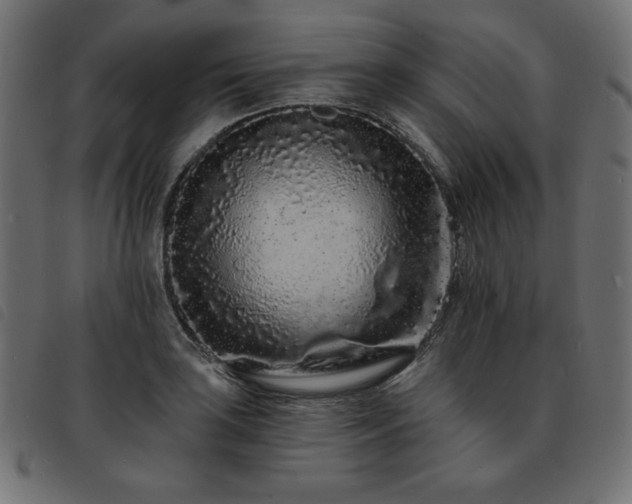 X0000093761035200710161219