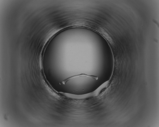 X0000093761036200710161219