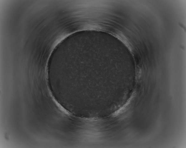X0000093761037200710161219