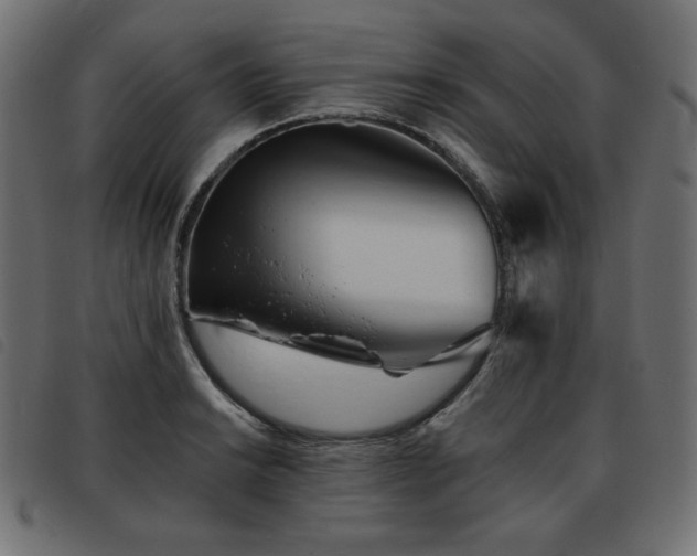 X0000093761038200710161219