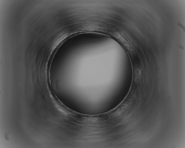 X0000093761039200710161219