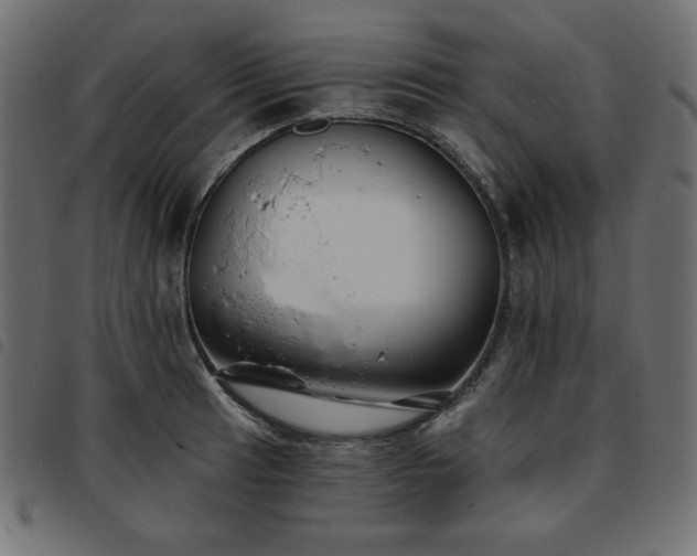 X0000093761041200710161219