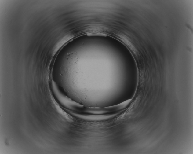 X0000093761042200710161219