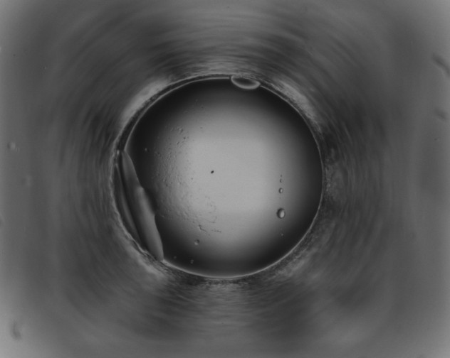 X0000093761043200710161219