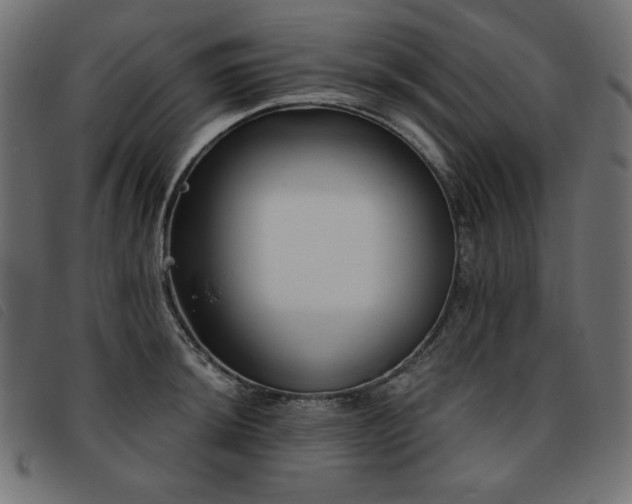 X0000093761044200710161219