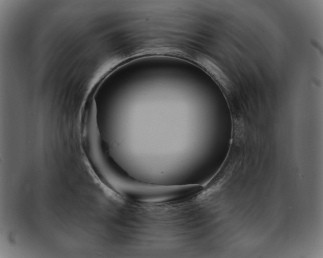 X0000093761046200710161219
