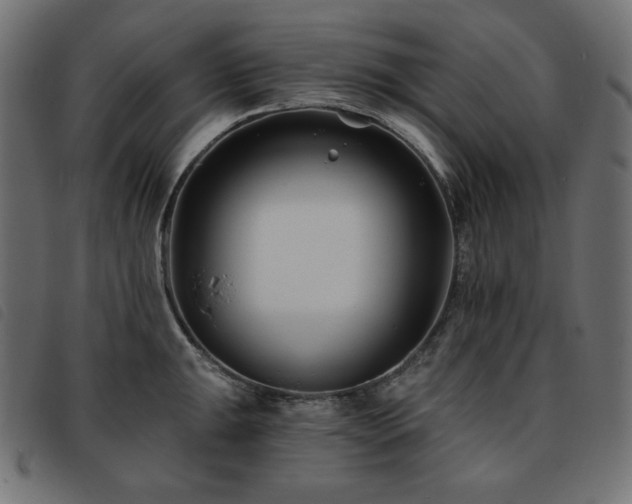 X0000093761047200710161219