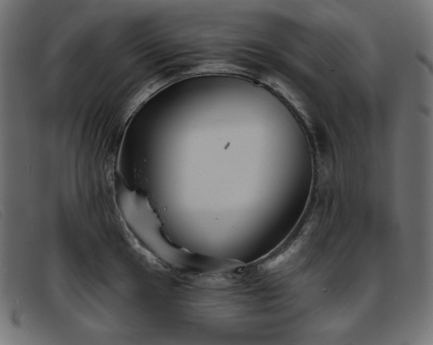 X0000093761049200710161219