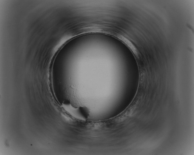 X0000093761051200710161219