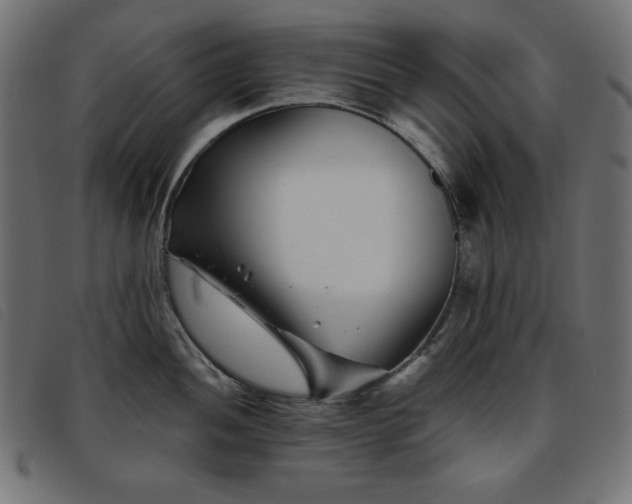 X0000093761052200710161219