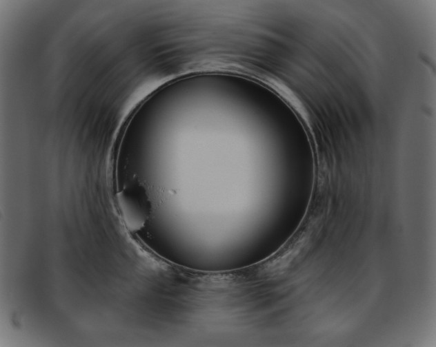 X0000093761053200710161219