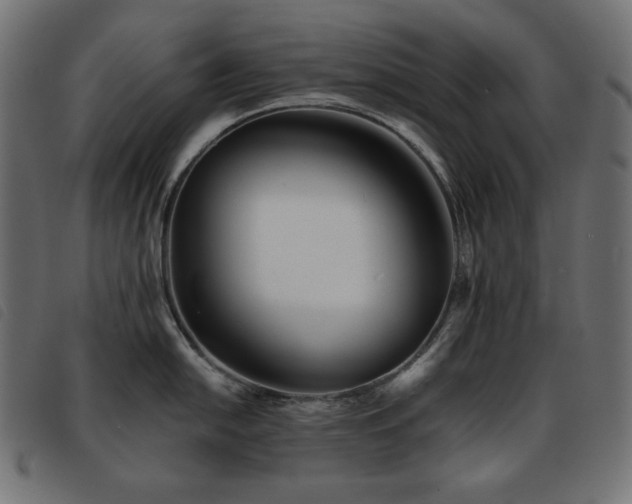 X0000093761054200710161219