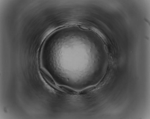 X0000093761055200710161219