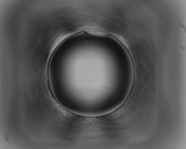 X0000093761056200710161219