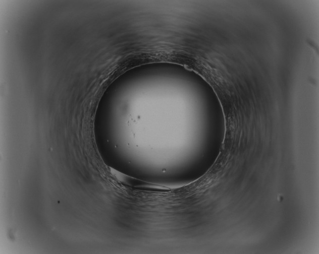 X0000093761057200710161219