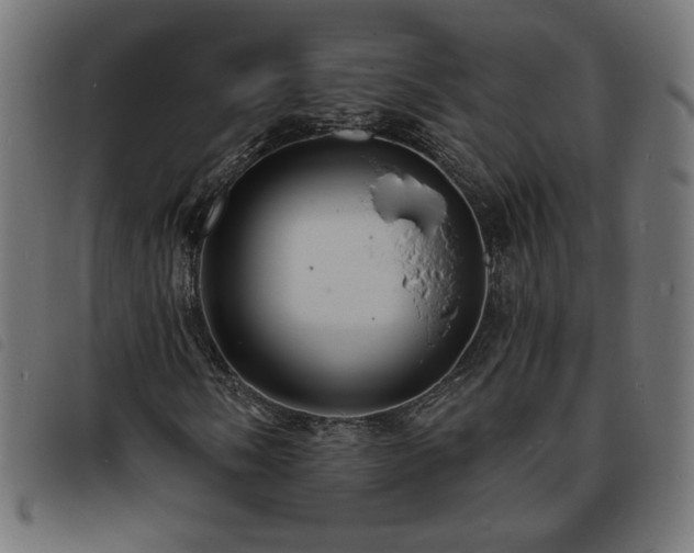 X0000093761058200710161219