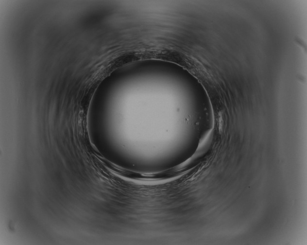 X0000093761059200710161219